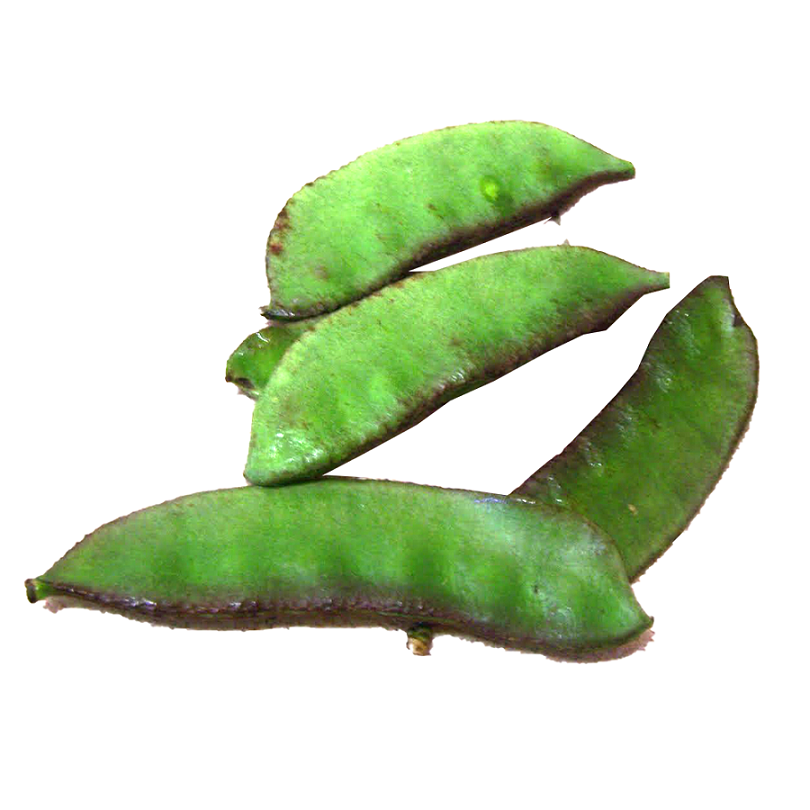 Kacang Banggla (孟加拉豆)