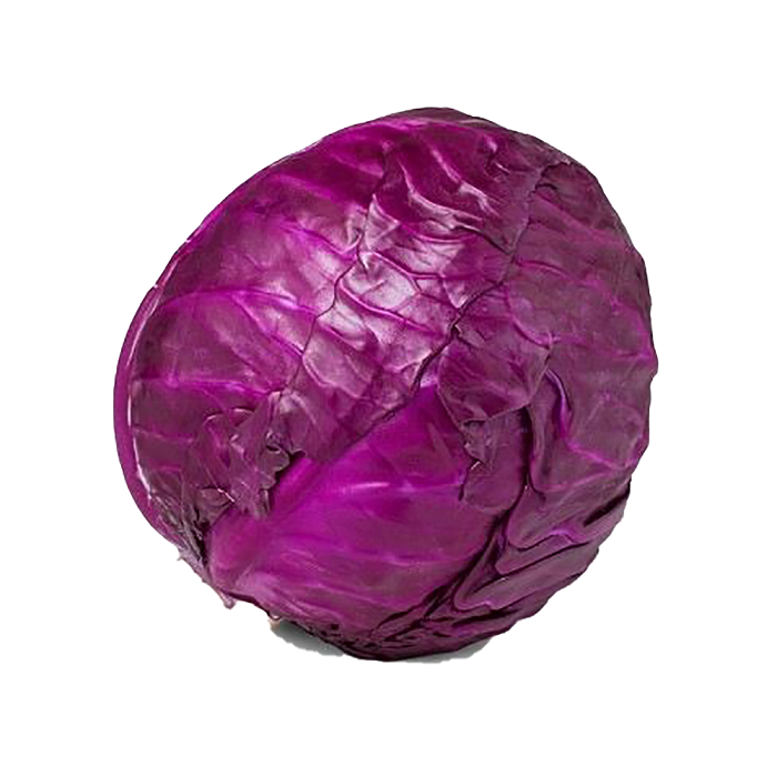 Kobis Ungu (紫包菜)