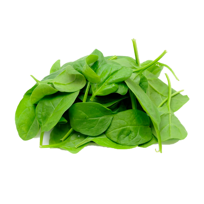 Cameron Organic Baby spinach (金马仑有机菠菜苗)