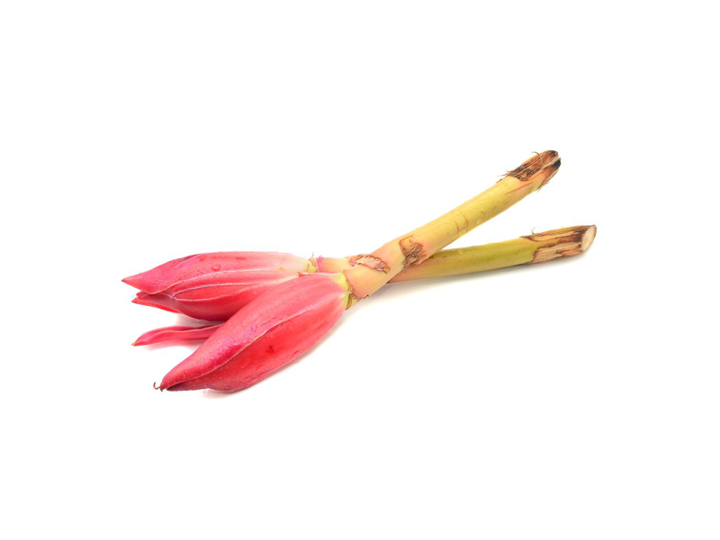 Bunga Kantan (姜花)