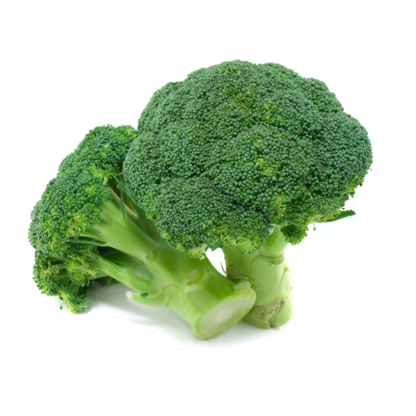 Broccoli (西兰花)