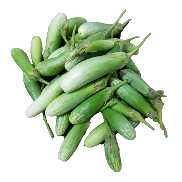 Organic Green Brinjal / Organik Terung Hijau (有机青长茄) 