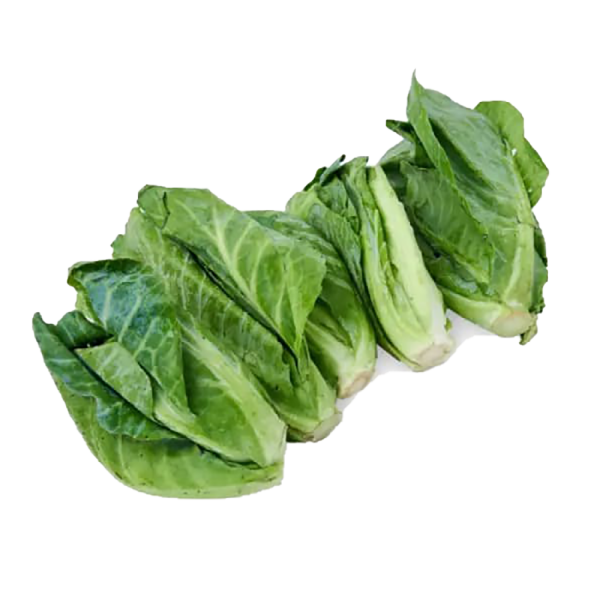 Cameron Organic Cabbage (金马仑有机菜旦)