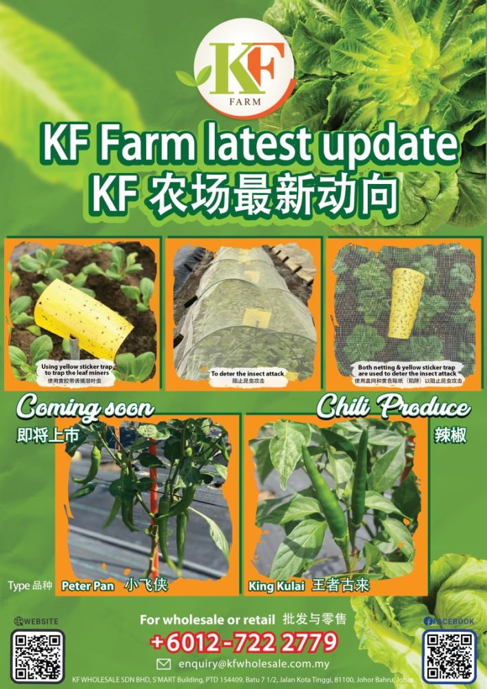 Kf Vegetable Wholesale Johor Bahru Jb Update