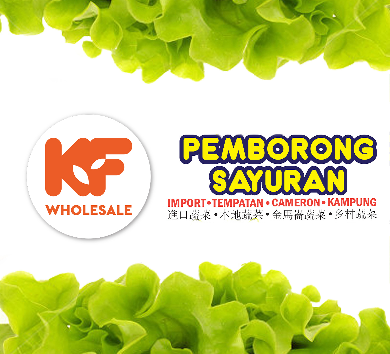 Mobile :: Home Masthead 01