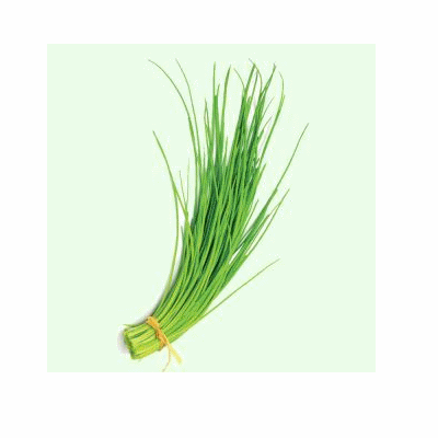 Herbs Chive (细香葱)