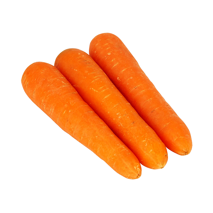 Carrot China (红萝卜)