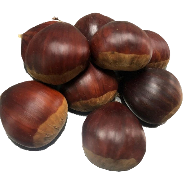 Chestnut Fresh (鲜板栗)