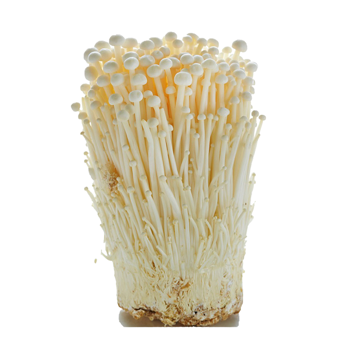 Enoki Mushroom (金针菇)