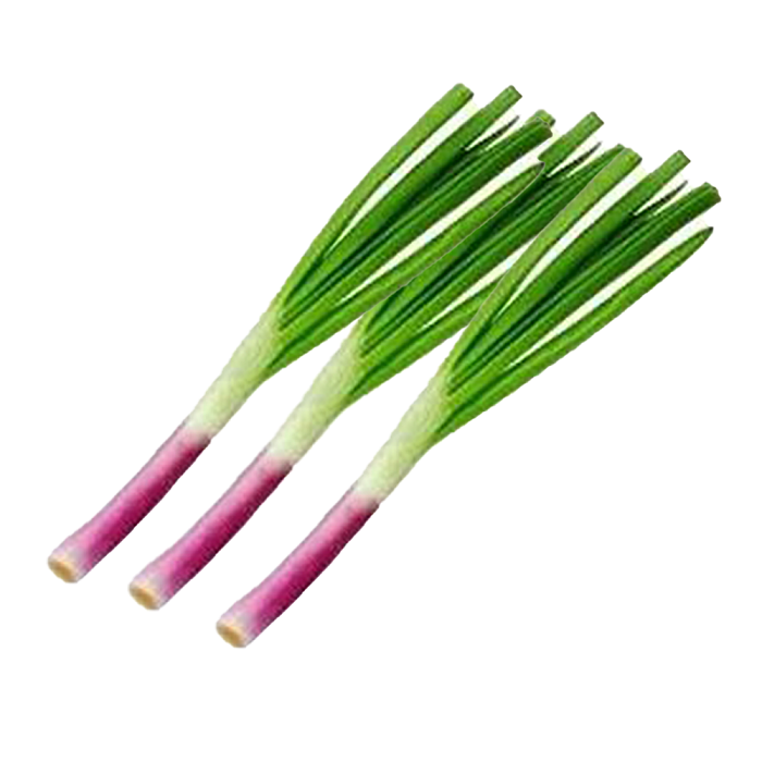 Red Leek (红韭菜)