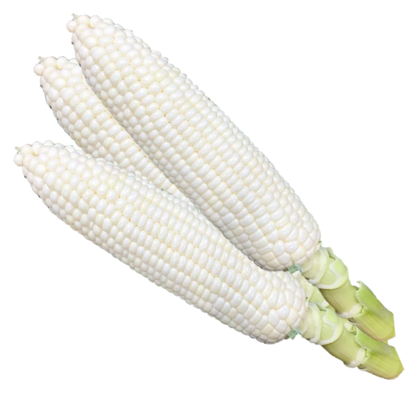 Cameron Organic Milk Corn (金马仑有机奶油玉米)