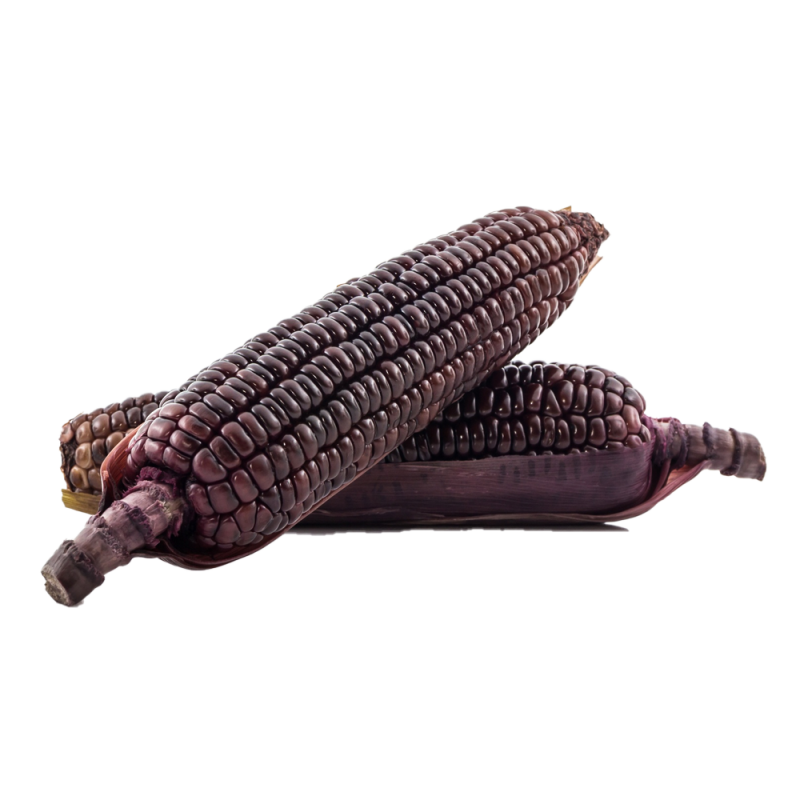 Cameron Organic Purple Corn (金马仑有机紫玉米)