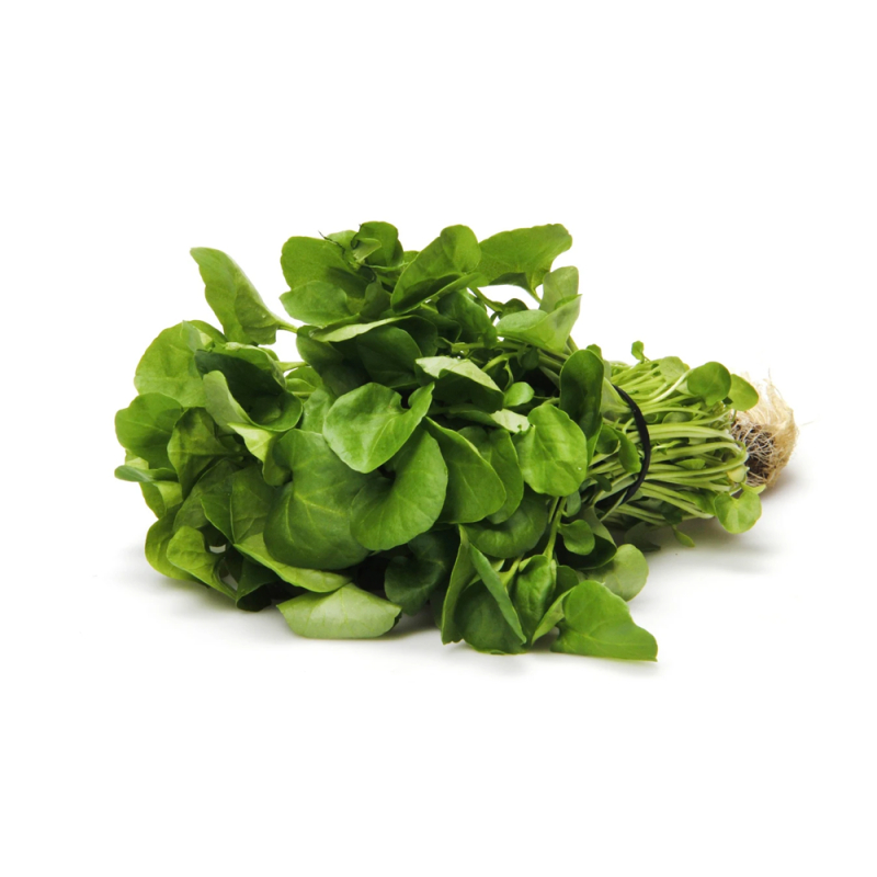 Cameron Organic Watercress (金马仑有机西洋菜)