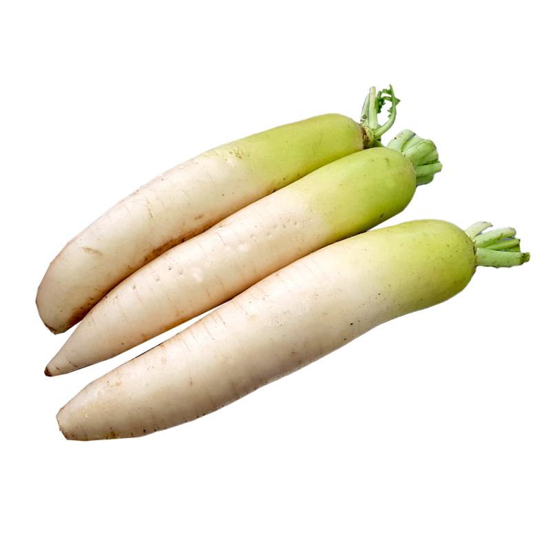 Cameron Organic White Radish (金马仑有机白萝