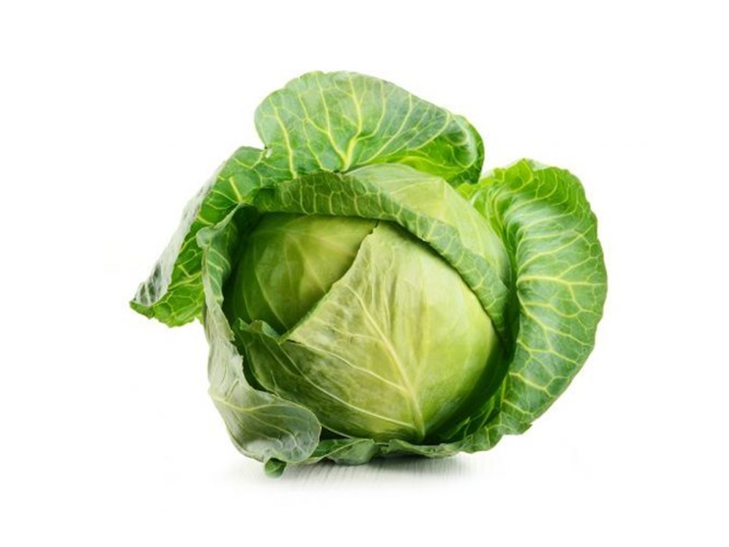 Organic Cabbage (有机包菜)