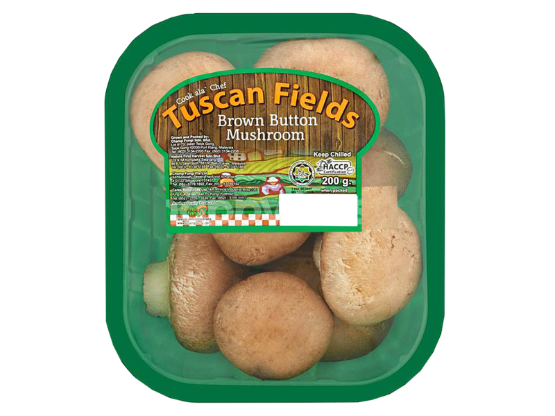 Tuscan Field Brown Mushroom (棕褐色)