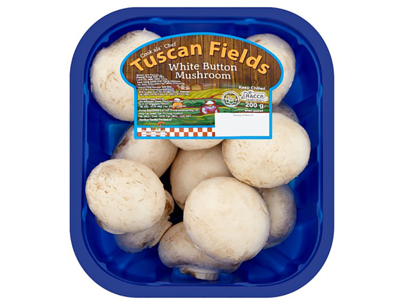 Tuscan Field White Mushroom (白色)