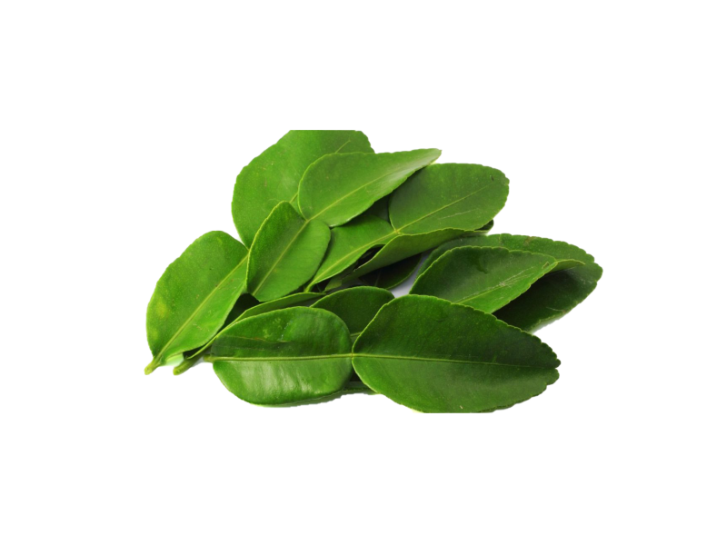 Daun Limau (柠檬叶)