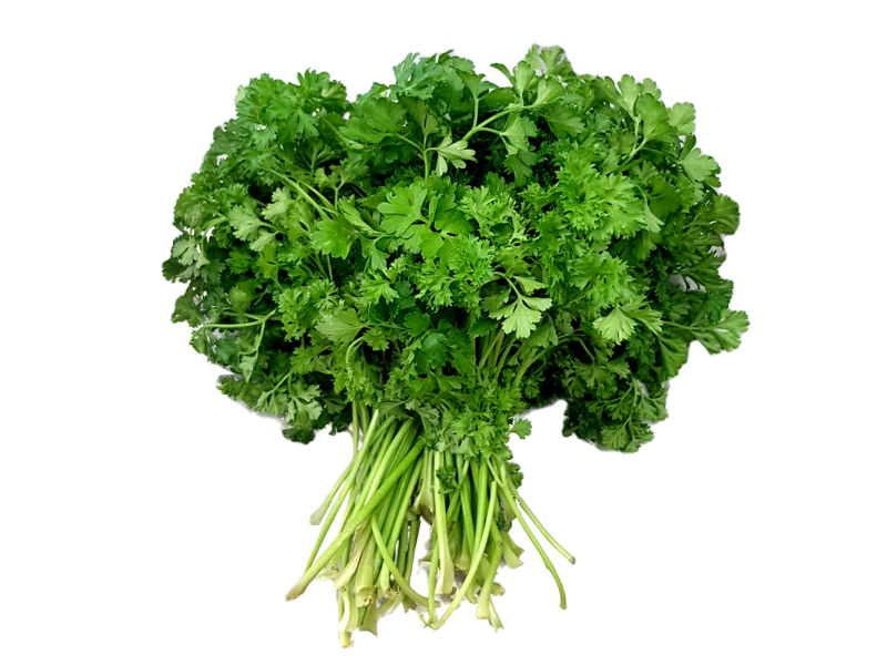 Parsley (巴士力)