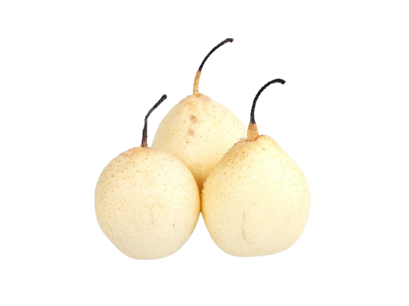 Ya Pears (鸭梨)