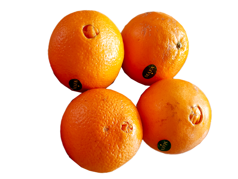 Navel Orange (肉橙)