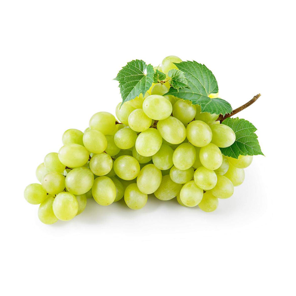 Grape Green-Seedless (青葡萄)